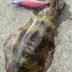 ラッキーなのか❓