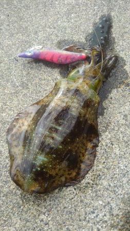 ラッキーなのか❓