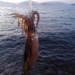 ジギルとハイド？