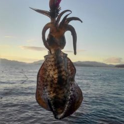 厳しかったです❗