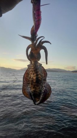 厳しかったです❗