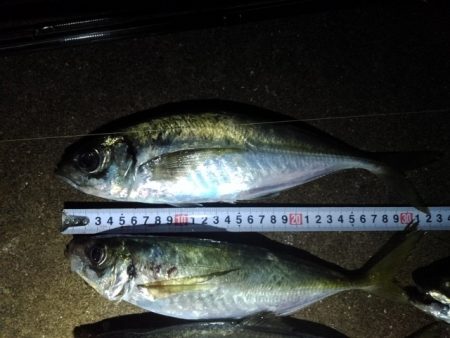 (尺アジ)フロートゲーム