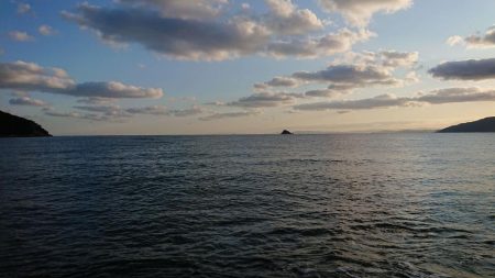 星スズキですかねぇ？