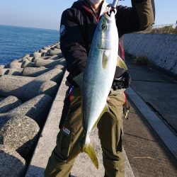 人工島でメジロをゲットー