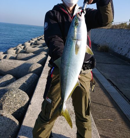 人工島でメジロをゲットー