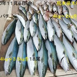 大物釣果速報！●光義丸：平戸市早福港