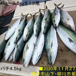 大物釣果速報！●光義丸：平戸市早福港