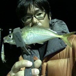 ルアーでアジング