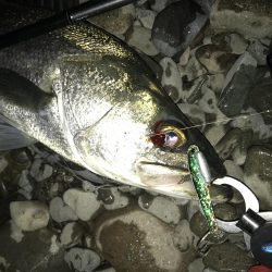 ドブから清流へ