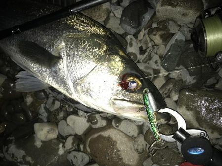 ドブから清流へ