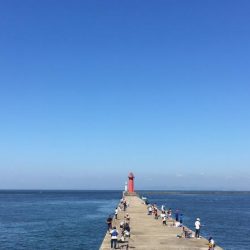 落とし込みでチヌ！再び！！