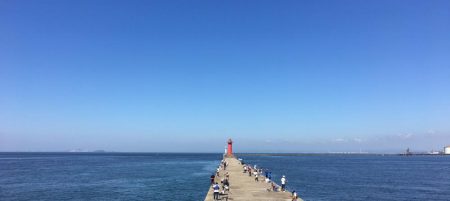 落とし込みでチヌ！再び！！