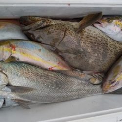 遊漁船 新鋭丸 釣果