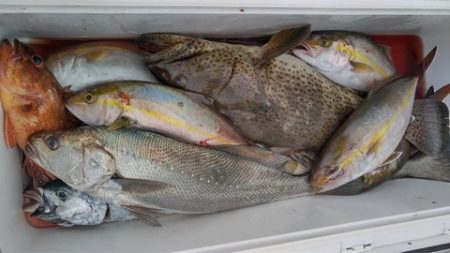 遊漁船 新鋭丸 釣果