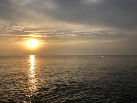 飲ませシーバス