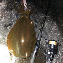 2020 佐渡ヶ島エギング 41回目