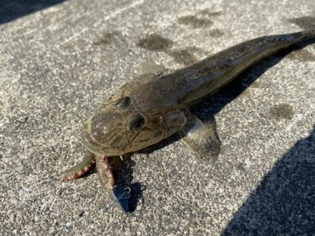 マイクロテンヤ