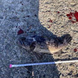 大阪湾いい感じ!