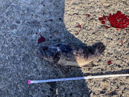 大阪湾いい感じ!