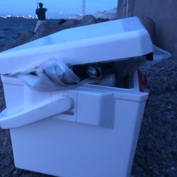 入れ食い爆釣！