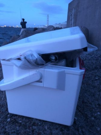 入れ食い爆釣！