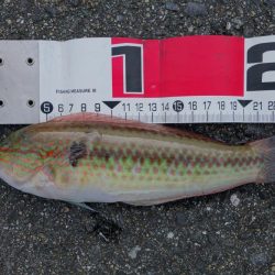 移動して正解！