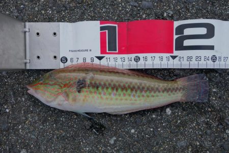 移動して正解！