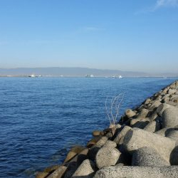 プチsalt water game