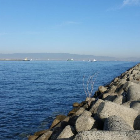 プチsalt water game