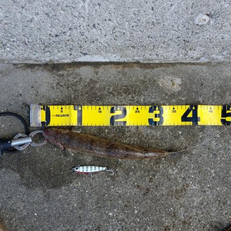 朝一のプチsalt water game