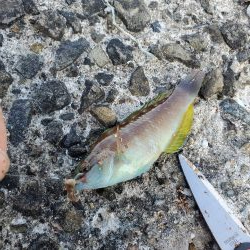 明石一文字で10目