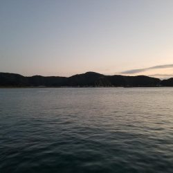 エギング 高知 宇佐一文字堤防