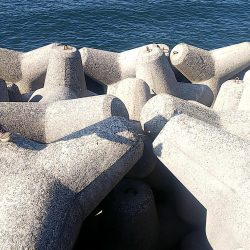 サゴシラッシュ!!