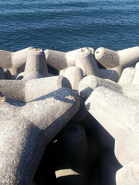 サゴシラッシュ!!