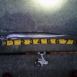 早朝プチsalt water game!