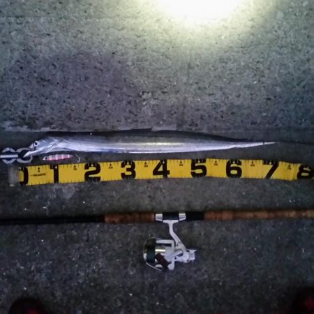 早朝プチsalt water game!