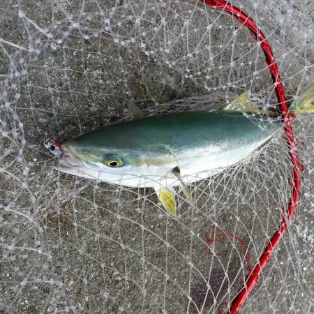 早朝プチsalt water game!