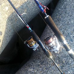 じあいでサゴシ連発!!