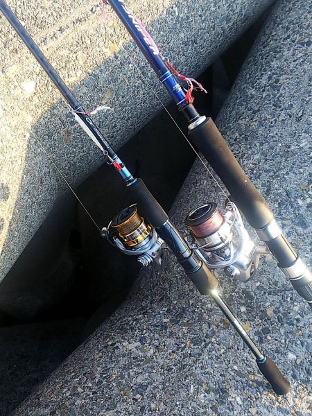 じあいでサゴシ連発!!