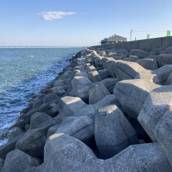 ショアジギデビュー