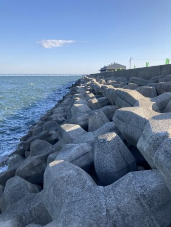 ショアジギデビュー