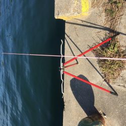 ファミリーフィッシング3