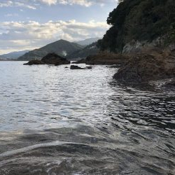 ボウズ逃れのに魚