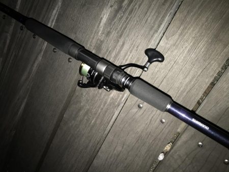 今季初青物GET。