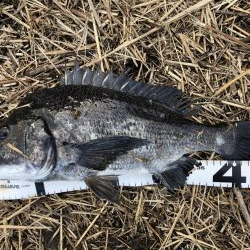 イチノ兄弟、釣果!