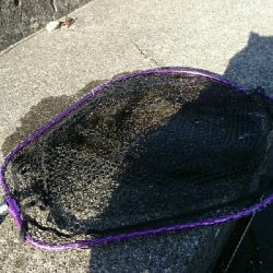 あっヤエンロッド&リール忘れた‼