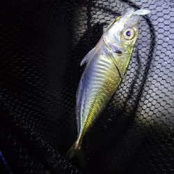 フロートアジング