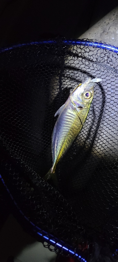 フロートアジング