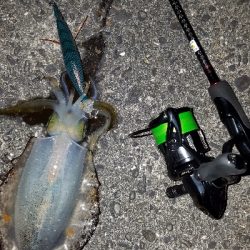 ニューロッド　スミツケ