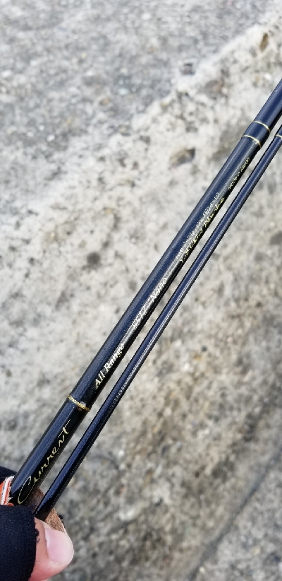 イカ青物釣れたよ。 +タックル紹介